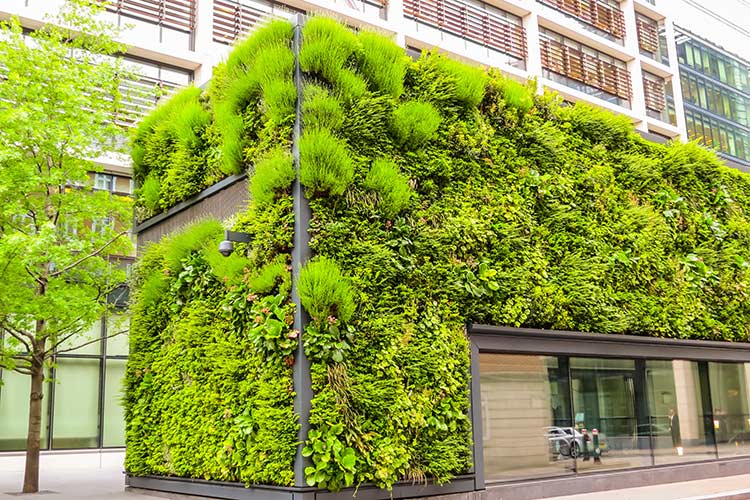 Ecological architecture, green living facade of the building